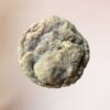 Snickerdoodle